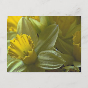 Glocken auf den linken Blades Postkarte