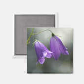 Glocken des Geheimmagneten Magnet (Vorderseite/Rückseite)