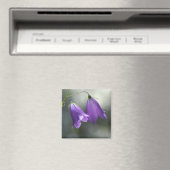 Glocken des Geheimmagneten Magnet (In Situ (Geschirrspüler))