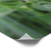 Glockenblume Poster (Ecke)