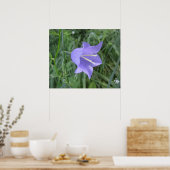 Glockenblume Poster (Küche)