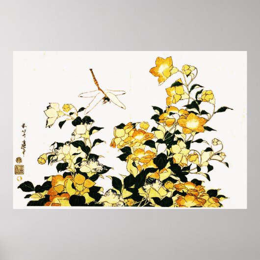Glockenblume und Libelle Poster (Vorne)