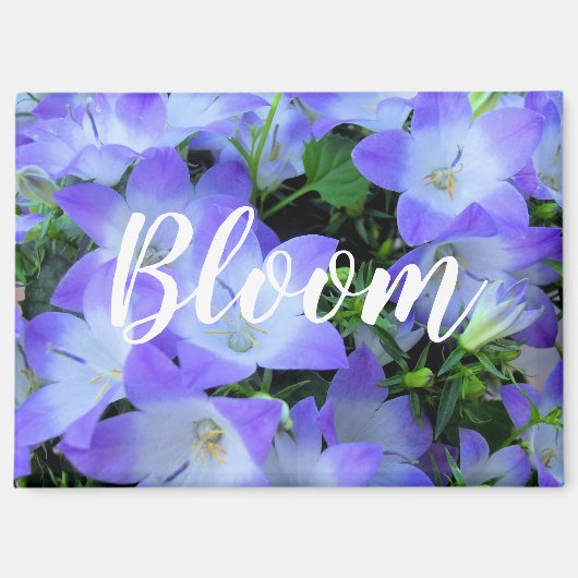 Glockenblumen-Fotografie Magnet (Vorderseite)