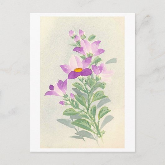 Glockenblumen (Japan) Postkarte (Vorderseite)