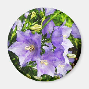 Glockenblumen Magnet