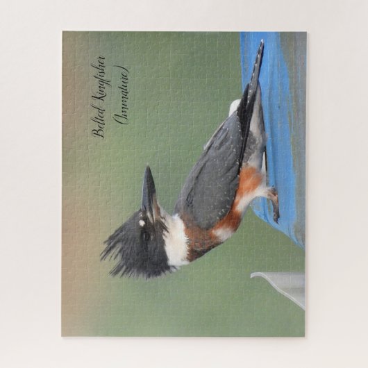 Glockenklumpen (Ungetane) Puzzle (Vertikal)