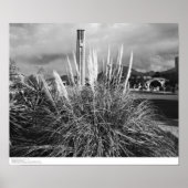 Glockenturm, Pampas Grass, Dezember 1966 Poster (Vorne)