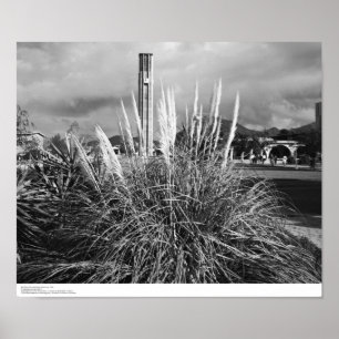 Glockenturm, Pampas Grass, Dezember 1966 Poster