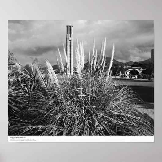 Glockenturm, Pampas Grass, Dezember 1966 Poster (Vorne)