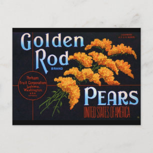 Gloden Rods Pears Postkarte