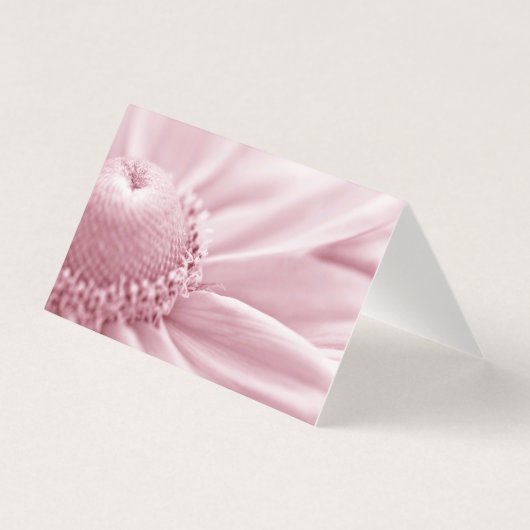 Gloriosa Daisy Macro Card (Vorderseite)