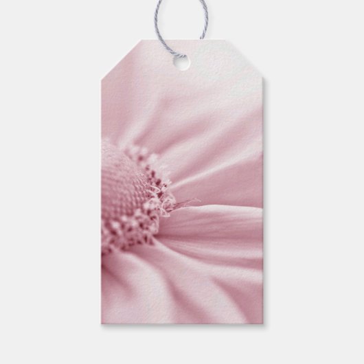 Gloriosa Daisy Macro Geschenkanhänger (Vorderseite)