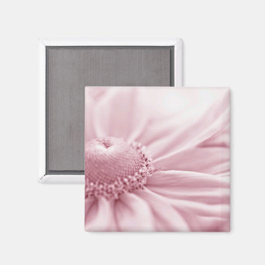 Gloriosa Daisy Macro Magnet (Vorderseite/Rückseite)