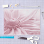 Gloriosa Daisy Macro Seidenpapier (Handwerk)