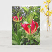 Gloriosa Lilien Karte (Gelbe Blume)
