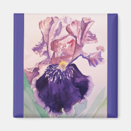 Glorioues Lila Iris Aquarellmalerei Magnet