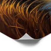 Glorious African Sunset Poster (Ecke)