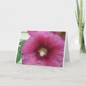 Glorious Hollyhocks Karte (Rückseite)