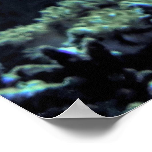 Glorious Lionfish Poster (Ecke)