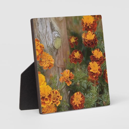 Glorious Marigolds Fotoplatte (Vorderseite)