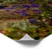 Glorious Morning Poster (Ecke)