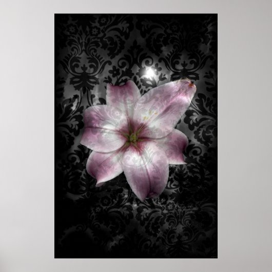 Glorious Mystery Poster (Vorne)