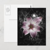 Glorious Mystery Postkarte (Vorne/Hinten)