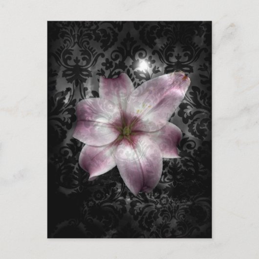 Glorious Mystery Postkarte (Vorderseite)