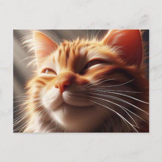 Glorious Orange Cat! Postkarte (Vorderseite)