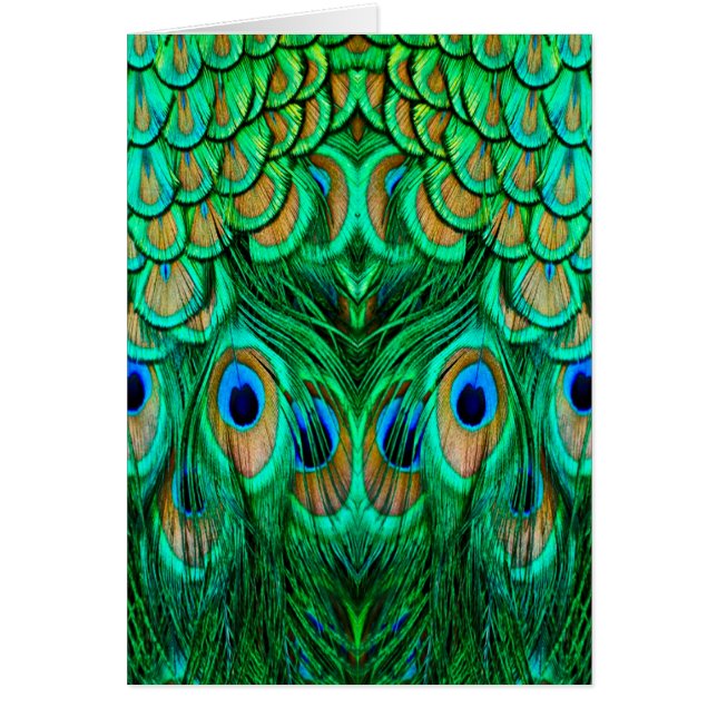 Glorious Peacock Feathers (Vorne)