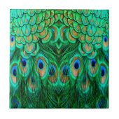 Glorious Peacock Feathers Fliese (Vorderseite)