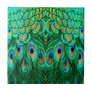 Glorious Peacock Feathers Fliese