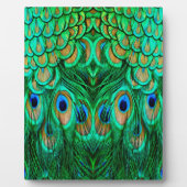 Glorious Peacock Feathers Fotoplatte (Vorderseite)