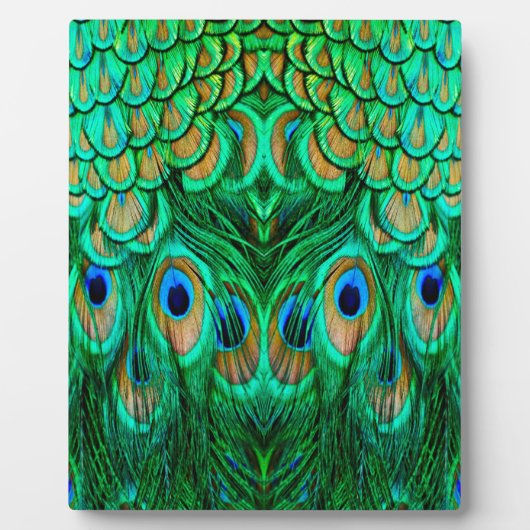 Glorious Peacock Feathers Fotoplatte (Vorderseite)