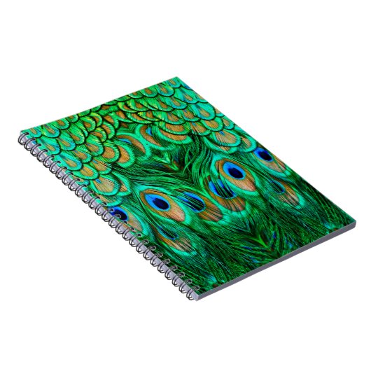 Glorious Peacock Feathers Notizblock (Rechte Seite)