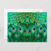 Glorious Peacock Feathers Postkarte (Vorne/Hinten)