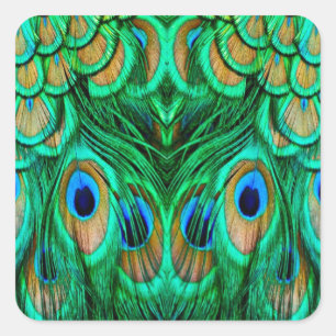 Glorious Peacock Feathers Quadratischer Aufkleber