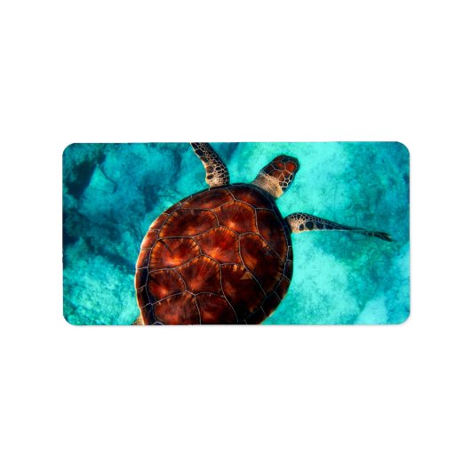 Glorious Sea Turtle Adressaufkleber (Vorne)
