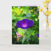 Glorious Solo Karte (Gelbe Blume)