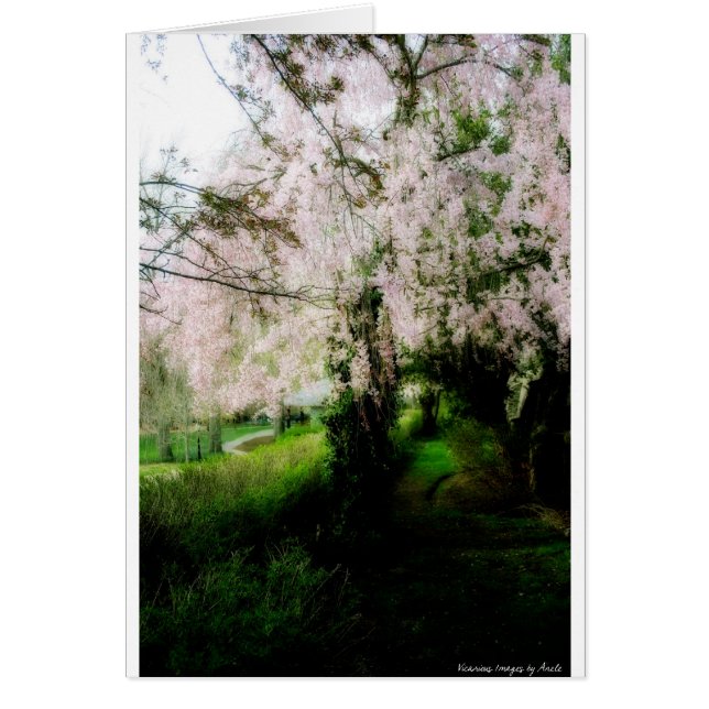 Glorious Spring Card (Vorne)