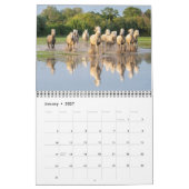 Glorreiche Pferde Kalender (Jan 2027)