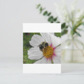 Glory Bee Postkarte (Stehend Vorderseite)