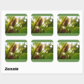 Glossenaufkleber für den Locust Country Square Quadratischer Aufkleber (Blatt)