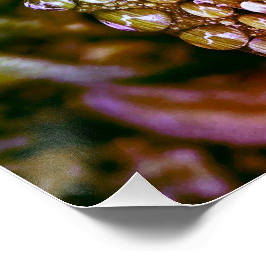 Glosses Poster, Farbreife auf Blätter. Poster (Ecke)