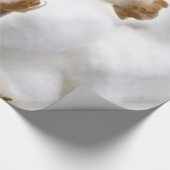 Glossopapier, Baumwolle Geschenkpapier (Ecke)