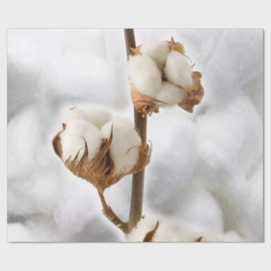 Glossopapier, Baumwolle Geschenkpapier (Flach)