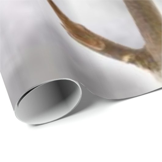 Glossopapier, Baumwolle Geschenkpapier (Rolleneckpunkt)