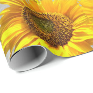 Glosswrapping Paper Cat Kitten Geschenkpapier