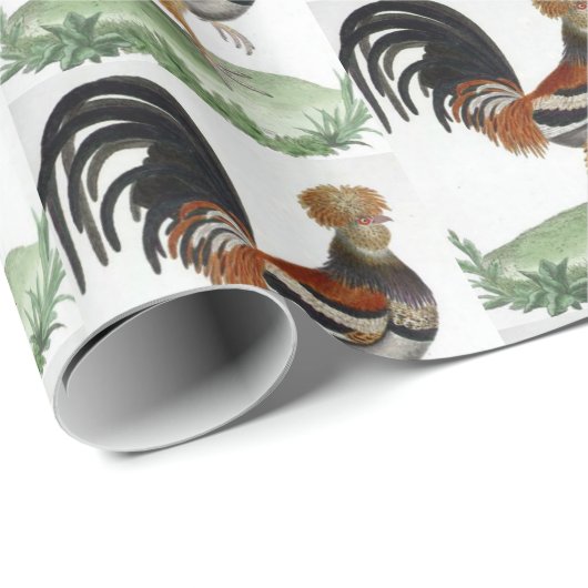 Glosswrapping Paper French Bird Geschenkpapier (Rolleneckpunkt)