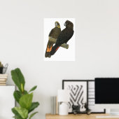 Glossy Black Cockatoo Pair Poster (Heimbüro)